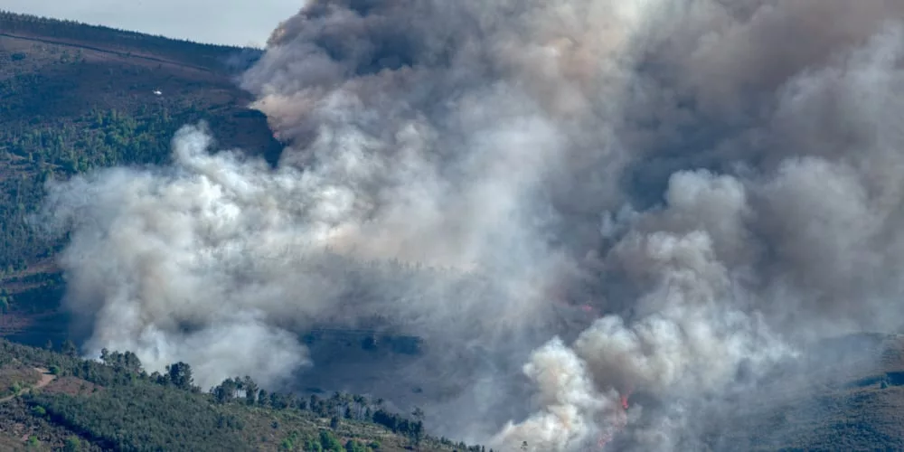 Incendios forestales efectos medioambientales jpg